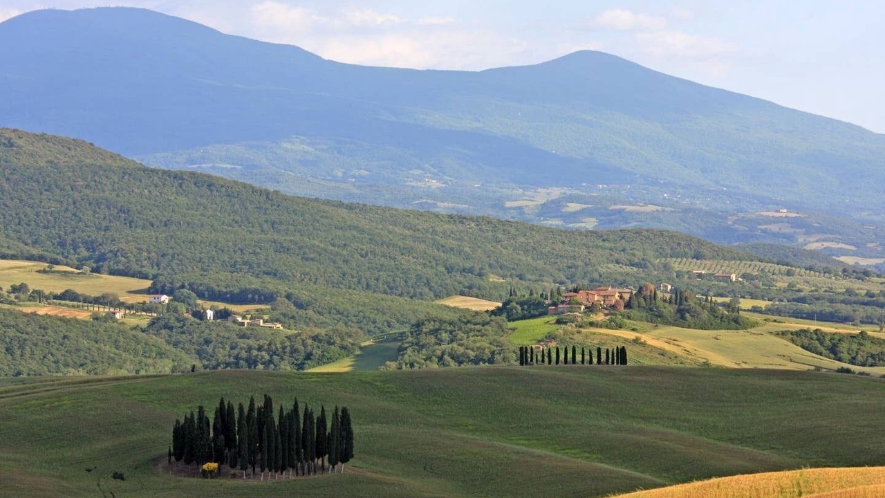 Photo of Others in Montalcino