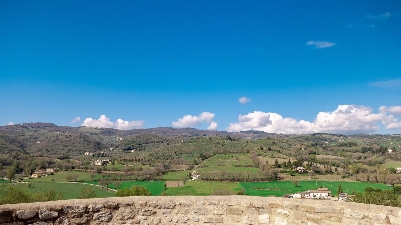 Photo of Bedroom in Torre del Colle