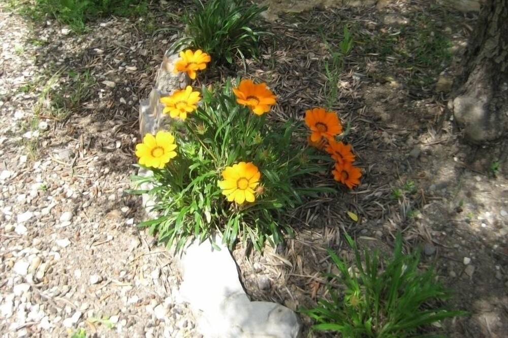 Photo of Outdoor in Pitigliano