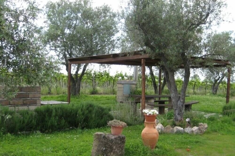 Photo of Outdoor in Pitigliano