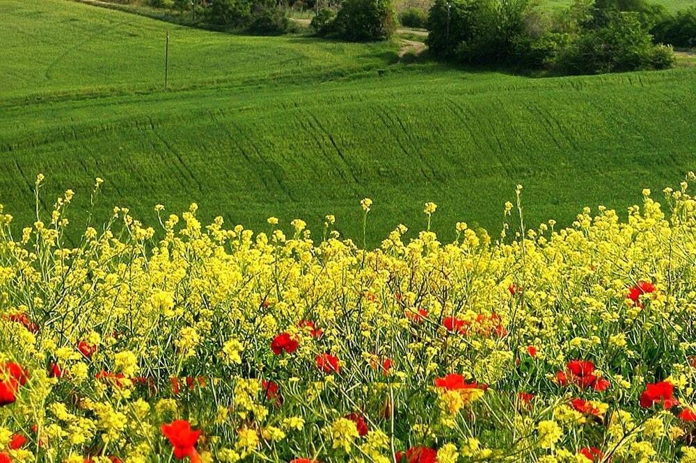 Photo of Outdoor in Ramazzano