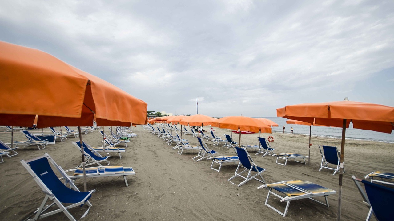 Photo of Others in Lido di Tarquinia