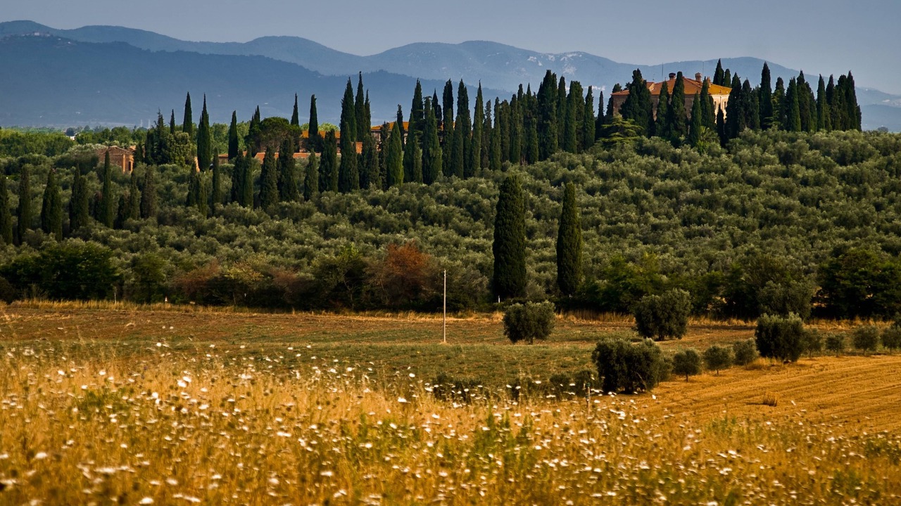 Photo of Outdoor in Grosseto