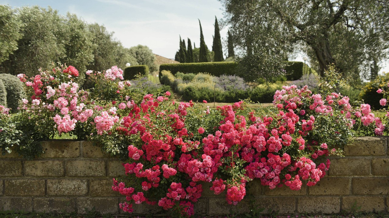 Photo of Outdoor in Grosseto