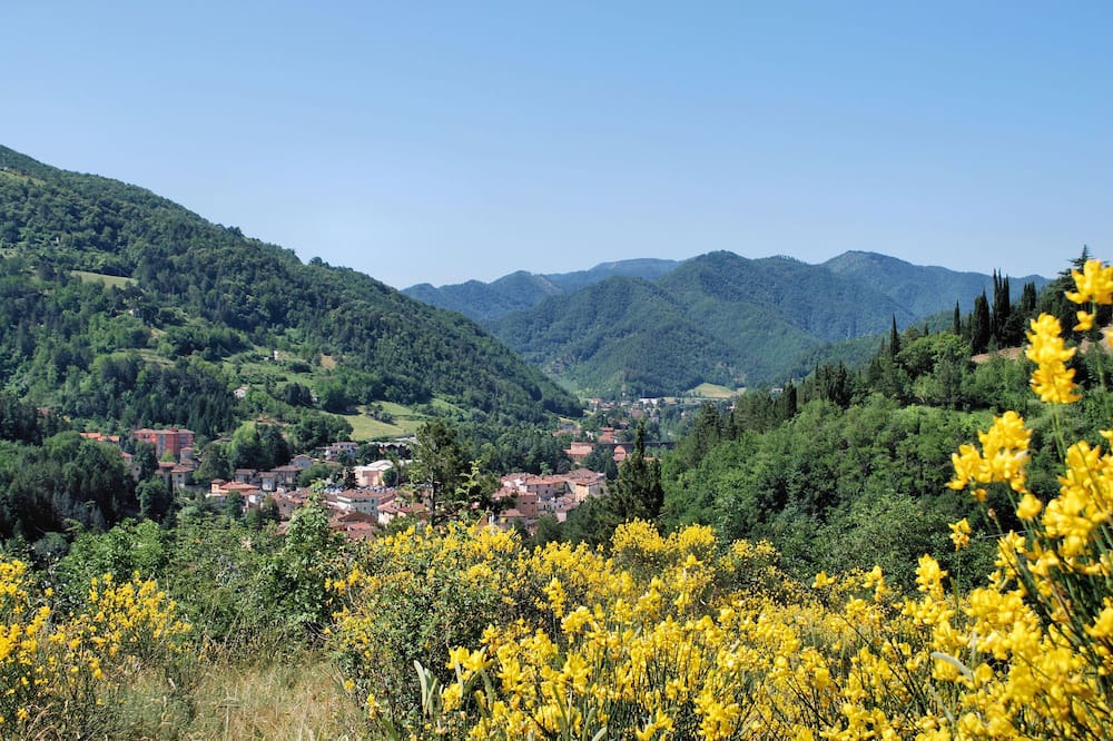 Photo of Outdoor in Marradi