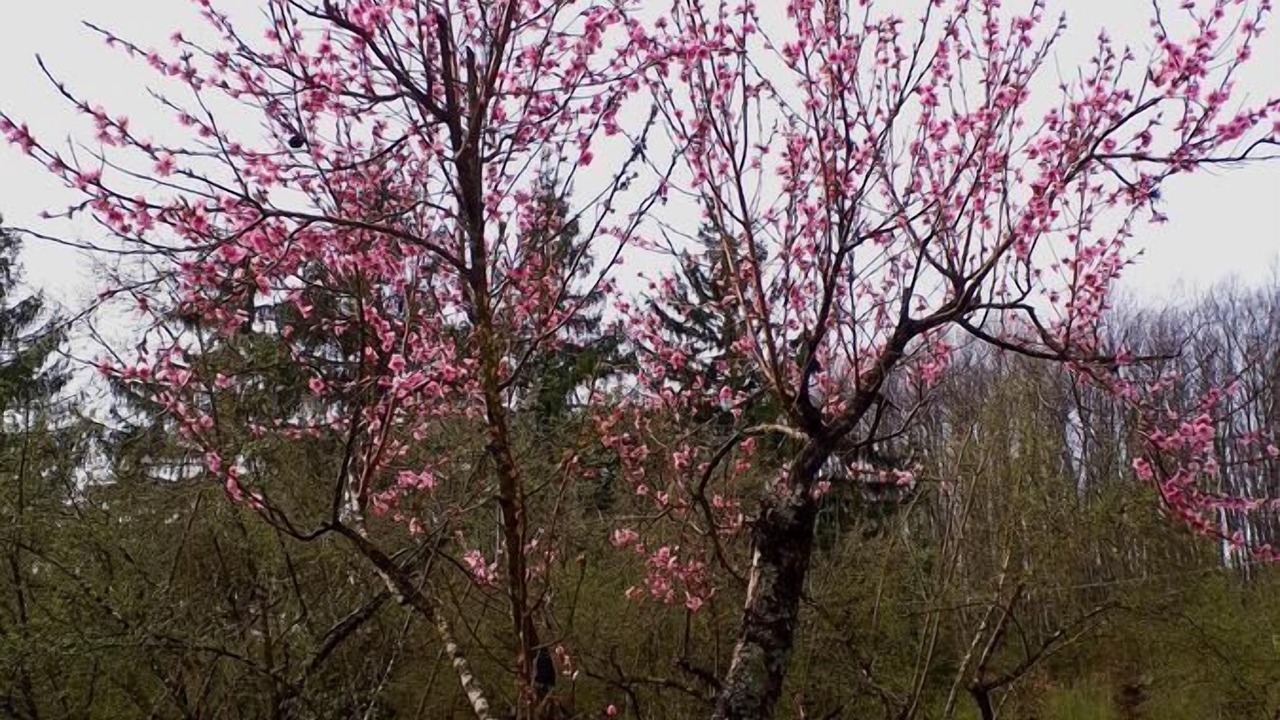 Photo of Outdoor in Capranica
