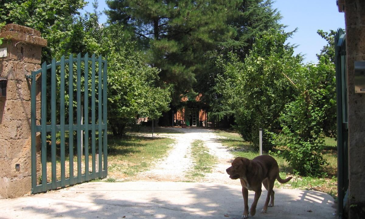 Photo of Outdoor in Capranica