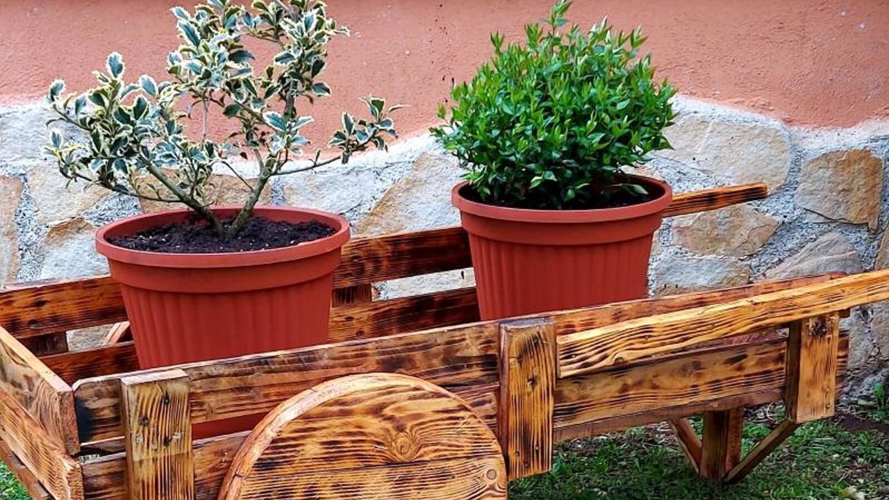 Photo of Outdoor in Capranica