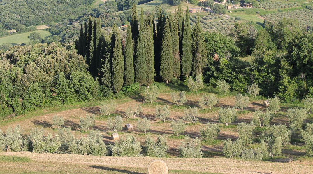 Photo of Others in Castiglione d'Orcia