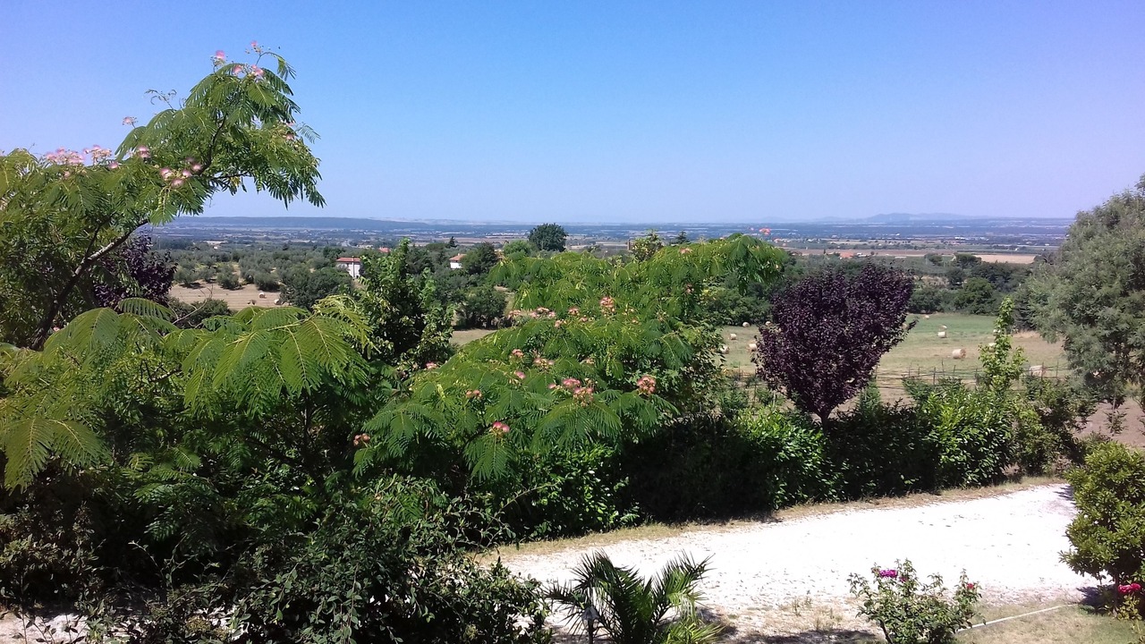 Photo of Others in Viterbo