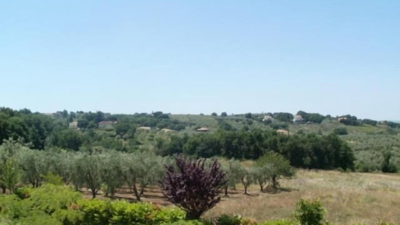 Photo of Outdoor in Viterbo