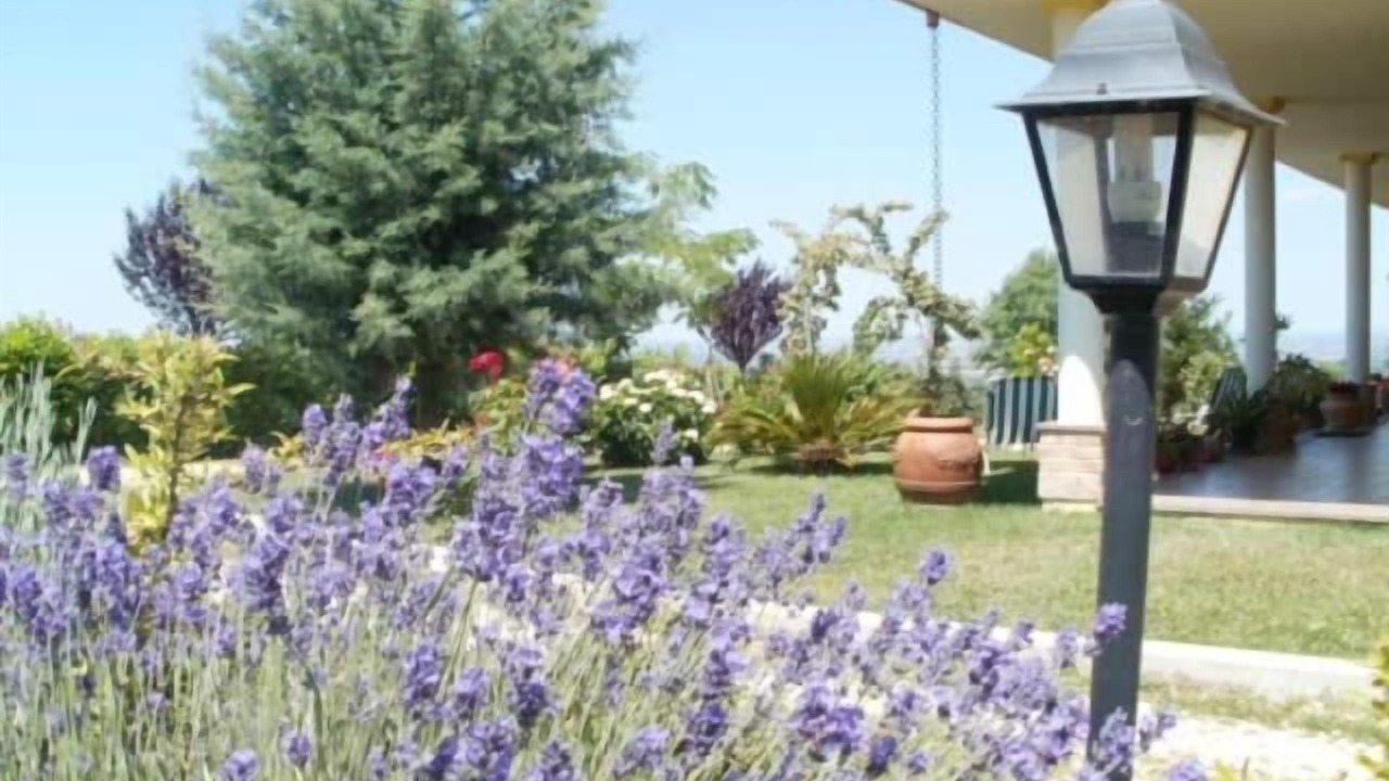 Photo of Outdoor in Viterbo