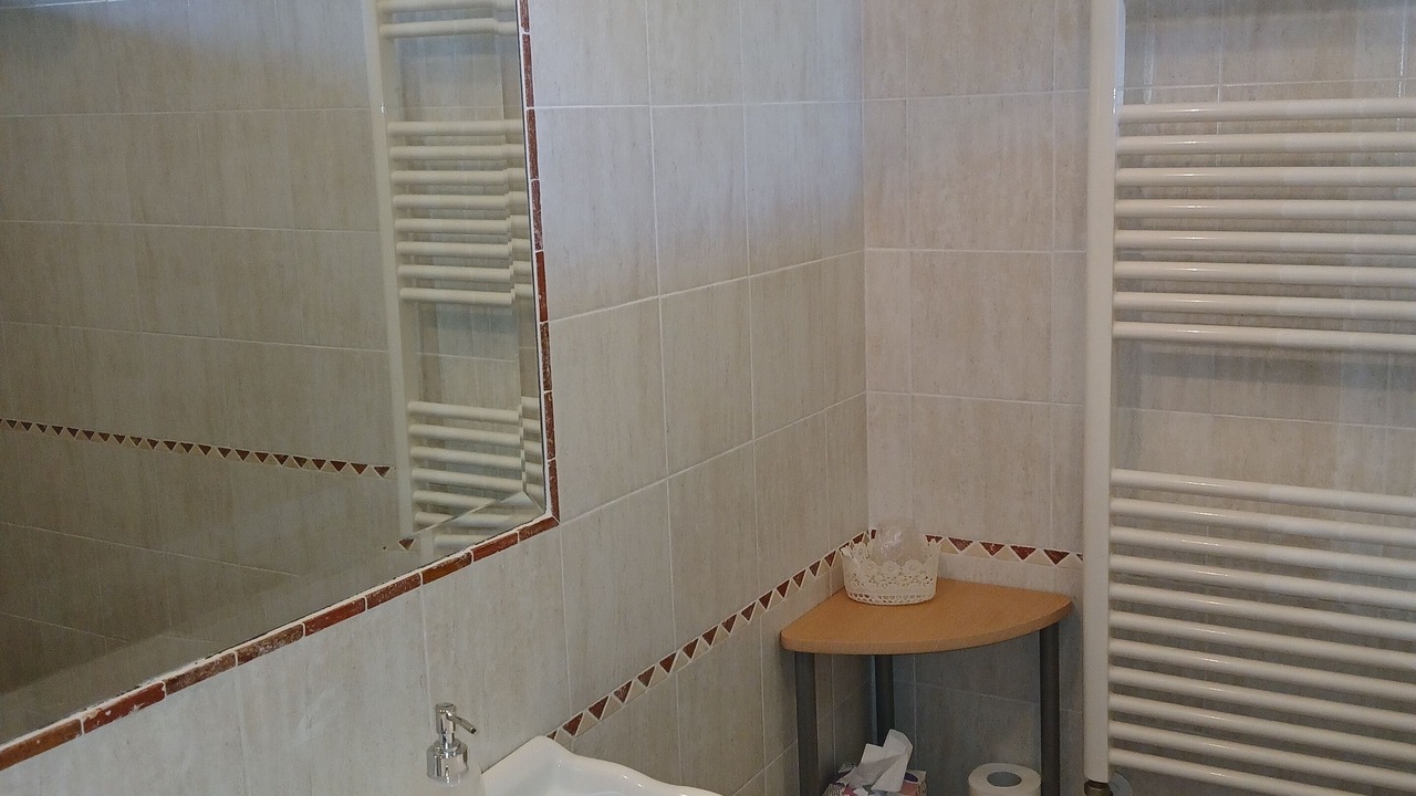 Photo of Bathroom in Viterbo