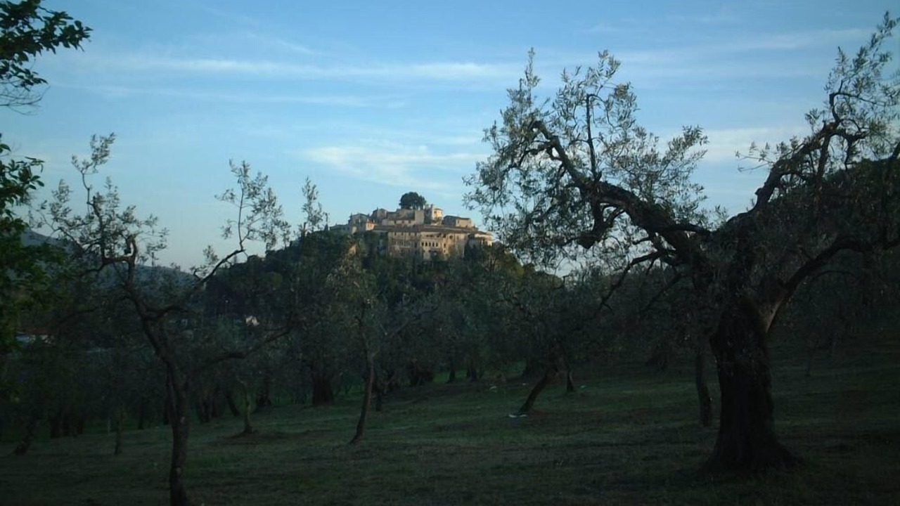 Photo of Outdoor in Casperia