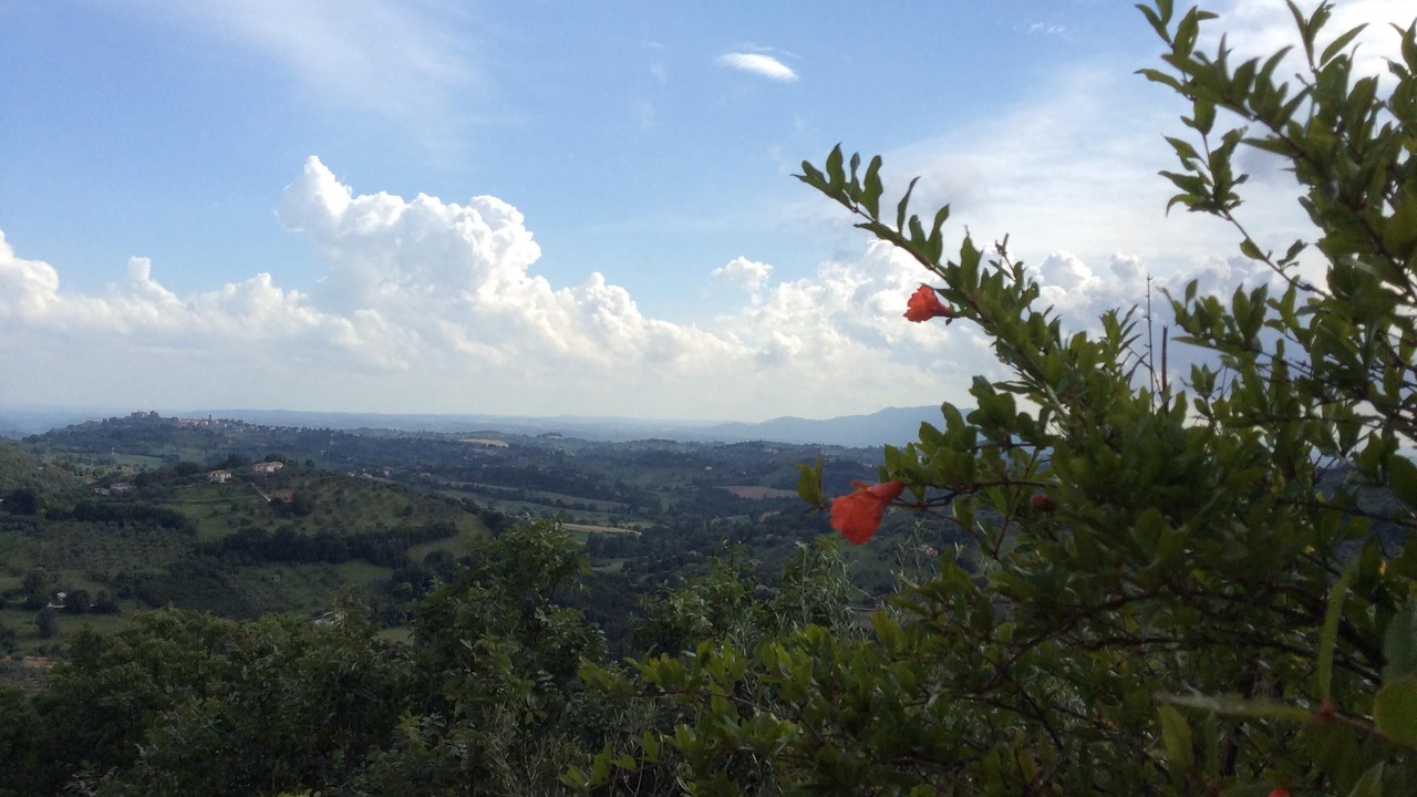 Photo of Others in Casperia