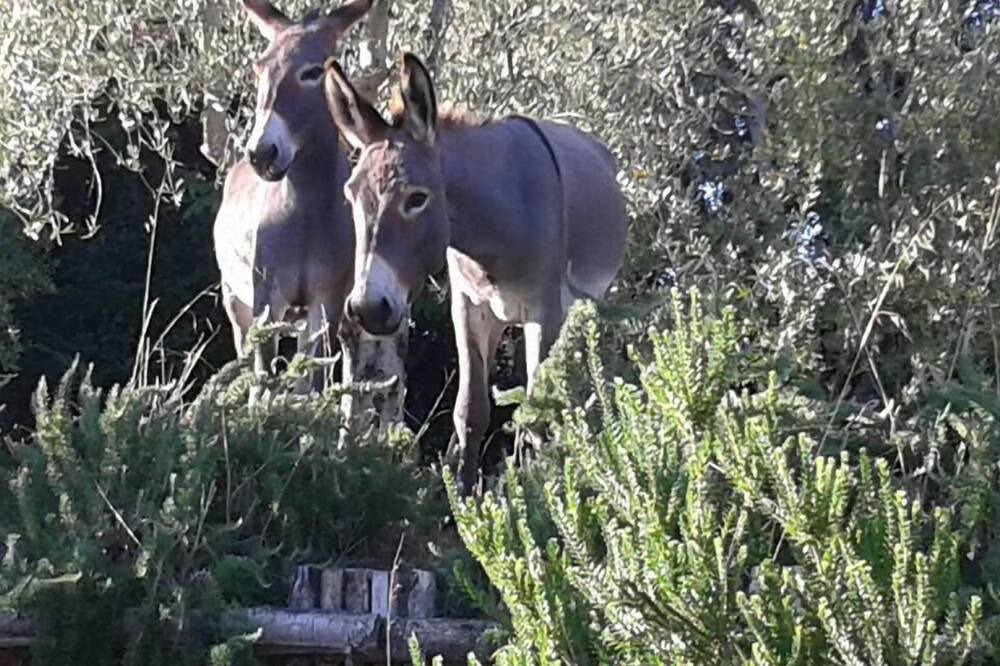 Photo of Outdoor in San Lorenzo Nuovo