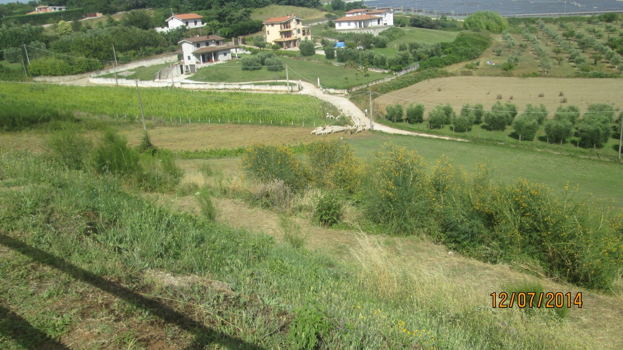 Photo of Others in Macere
