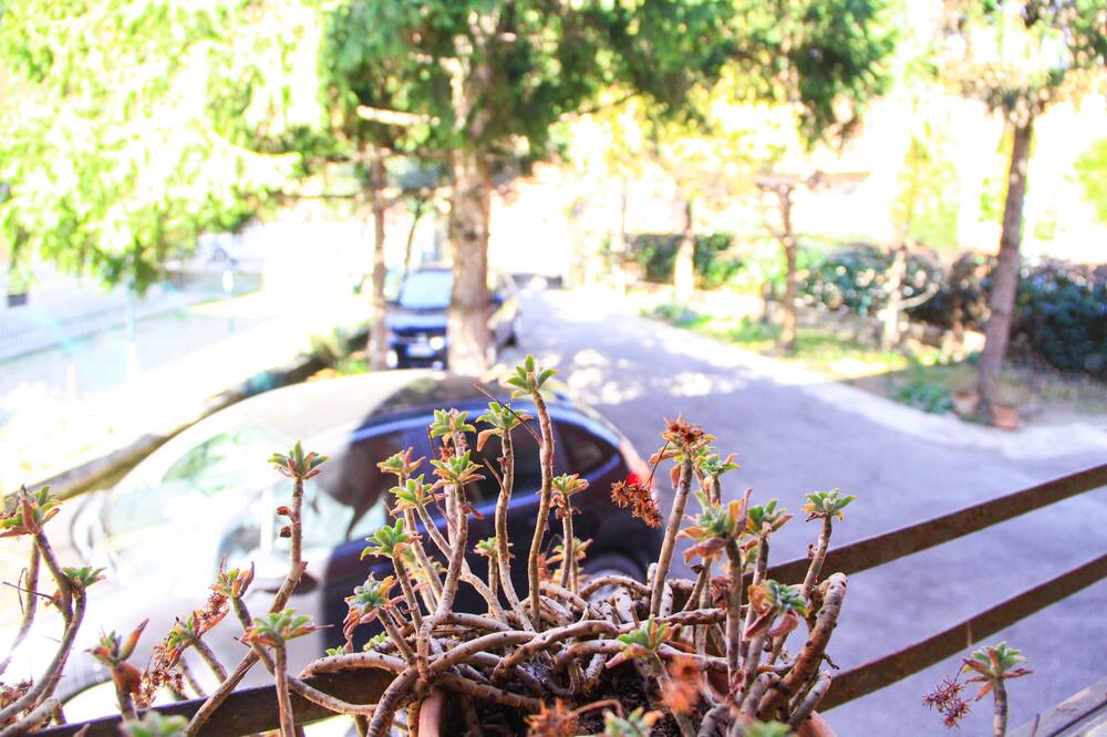 Photo of Outdoor in Province of Bologna