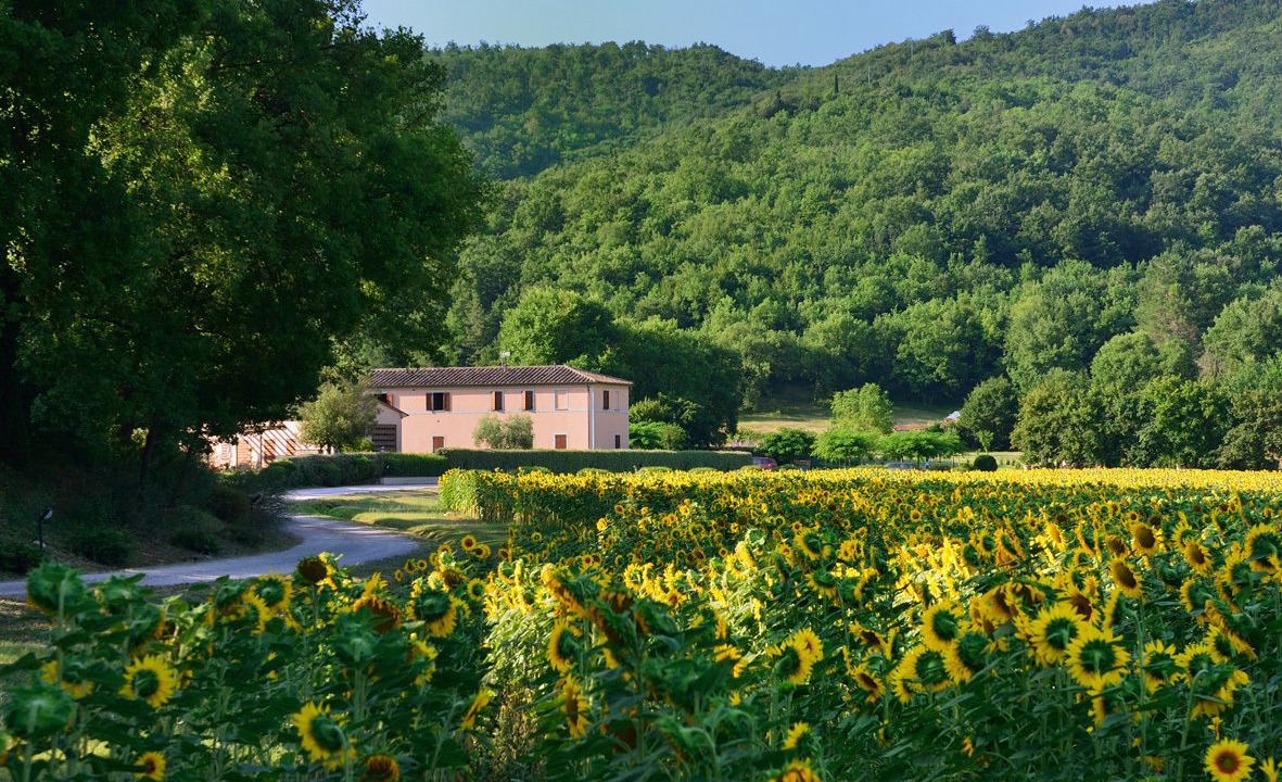 Photo of Outdoor in Corciano