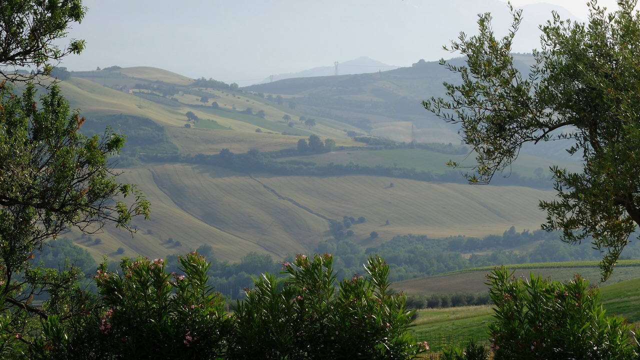 Photo of Others in Castilenti