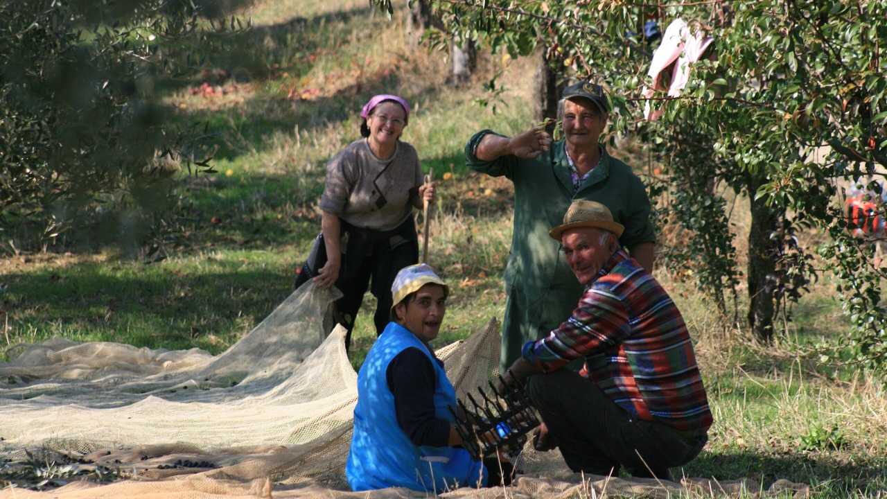 Photo of Others in Castilenti