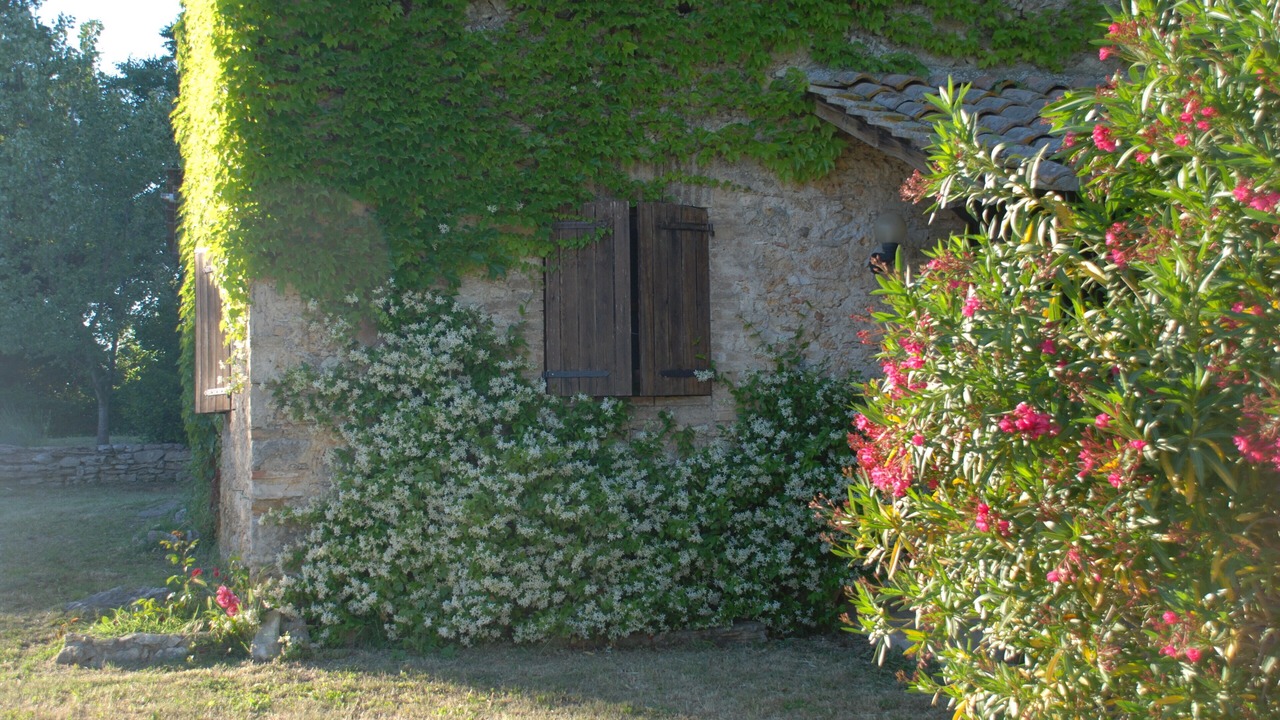 Photo of Outdoor in Amelia