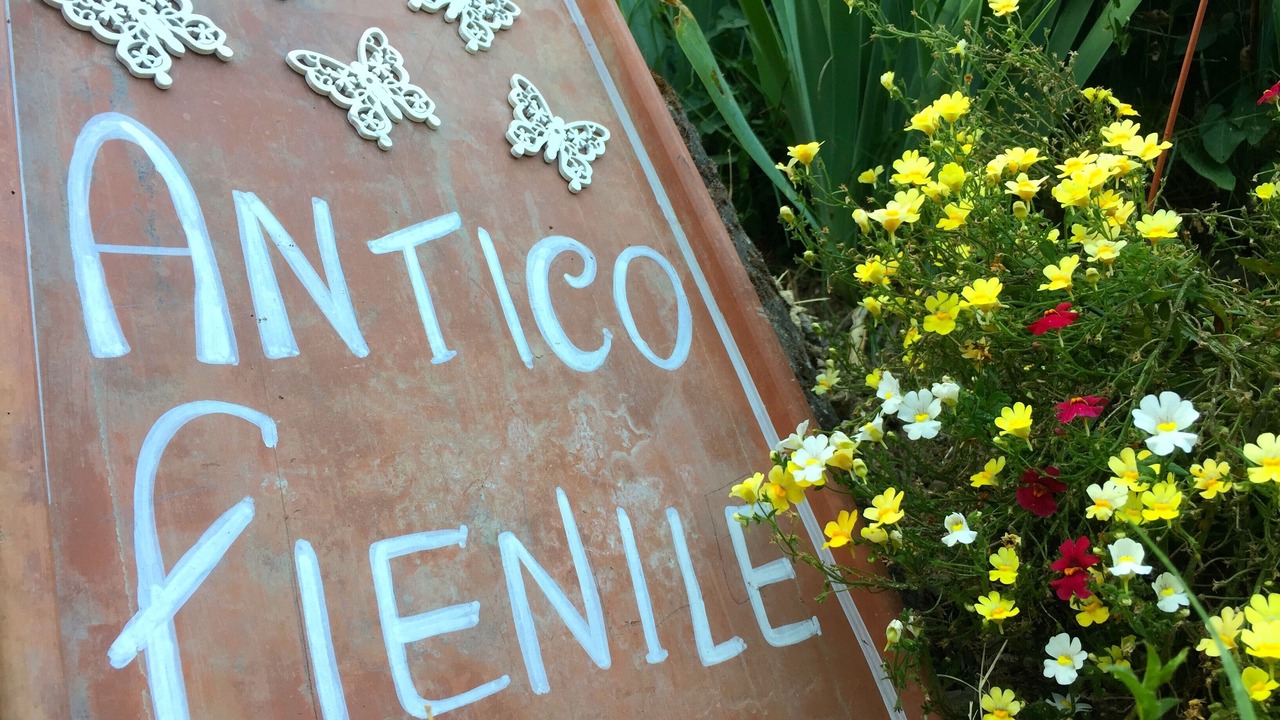 Photo of Outdoor in Celleno