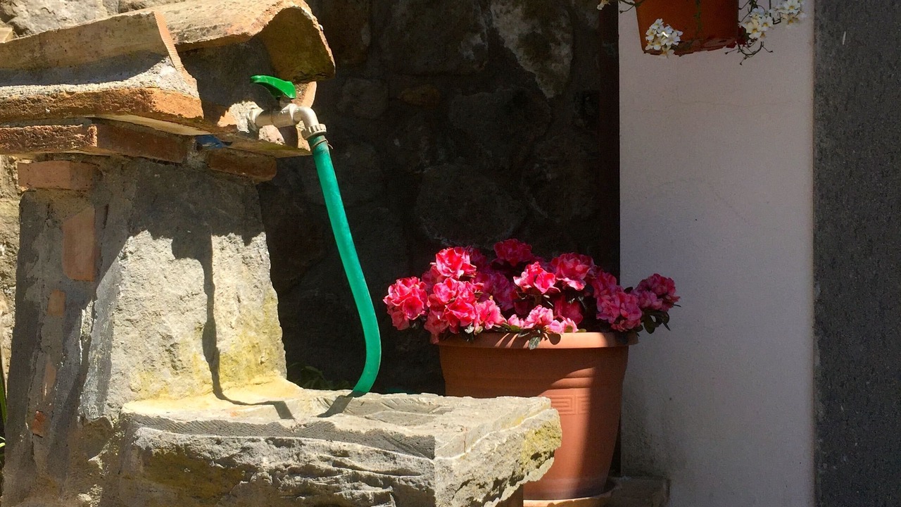 Photo of Outdoor in Celleno