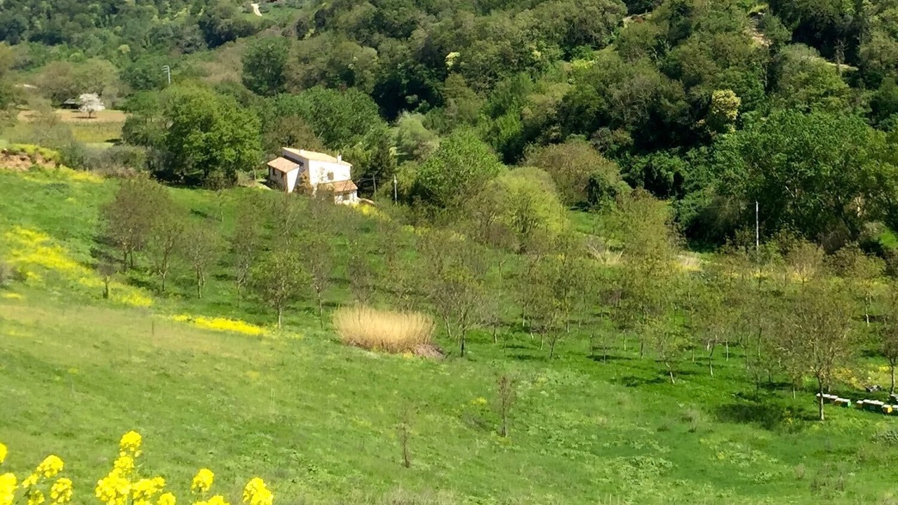 Photo of Outdoor in Celleno