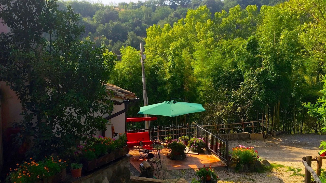 Photo of Outdoor in Celleno