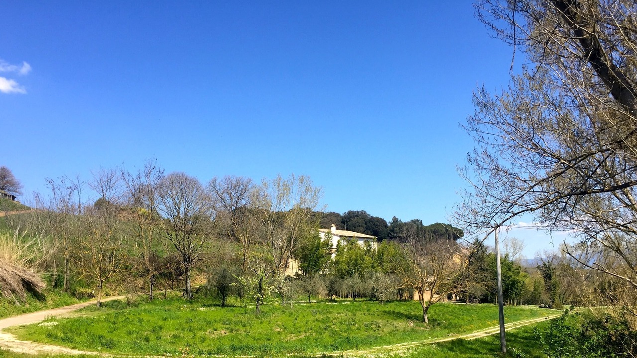 Photo of Outdoor in Celleno