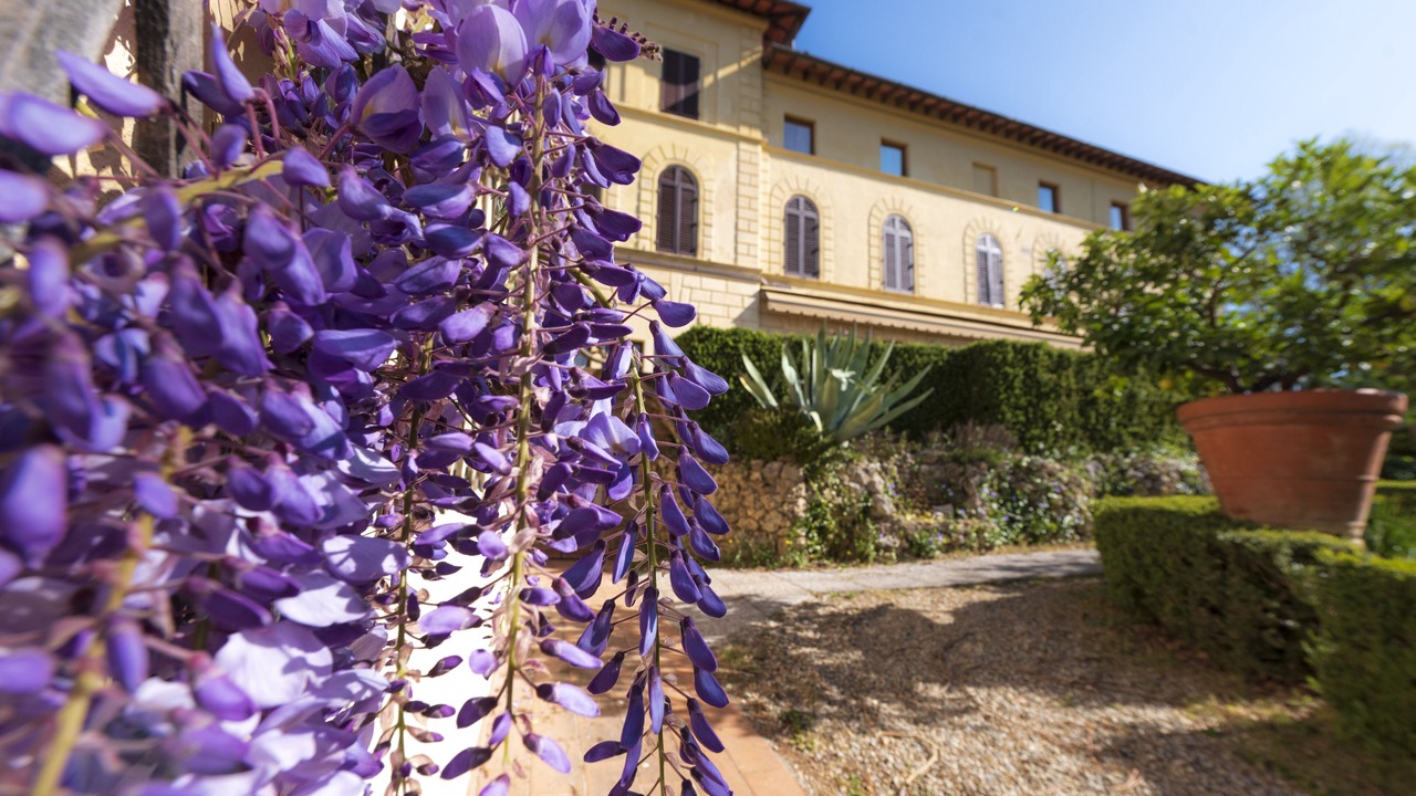 Photo of Outdoor in Siena