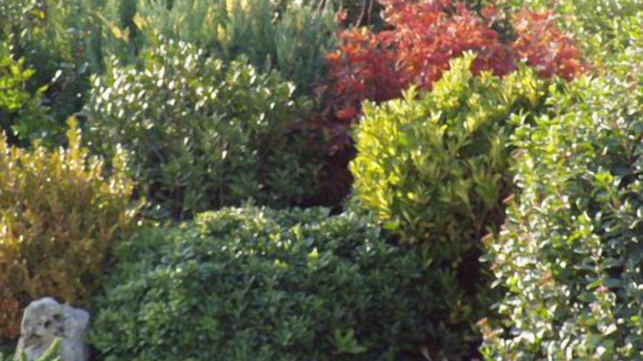 Photo of Outdoor in Castel Guelfo di Bologna