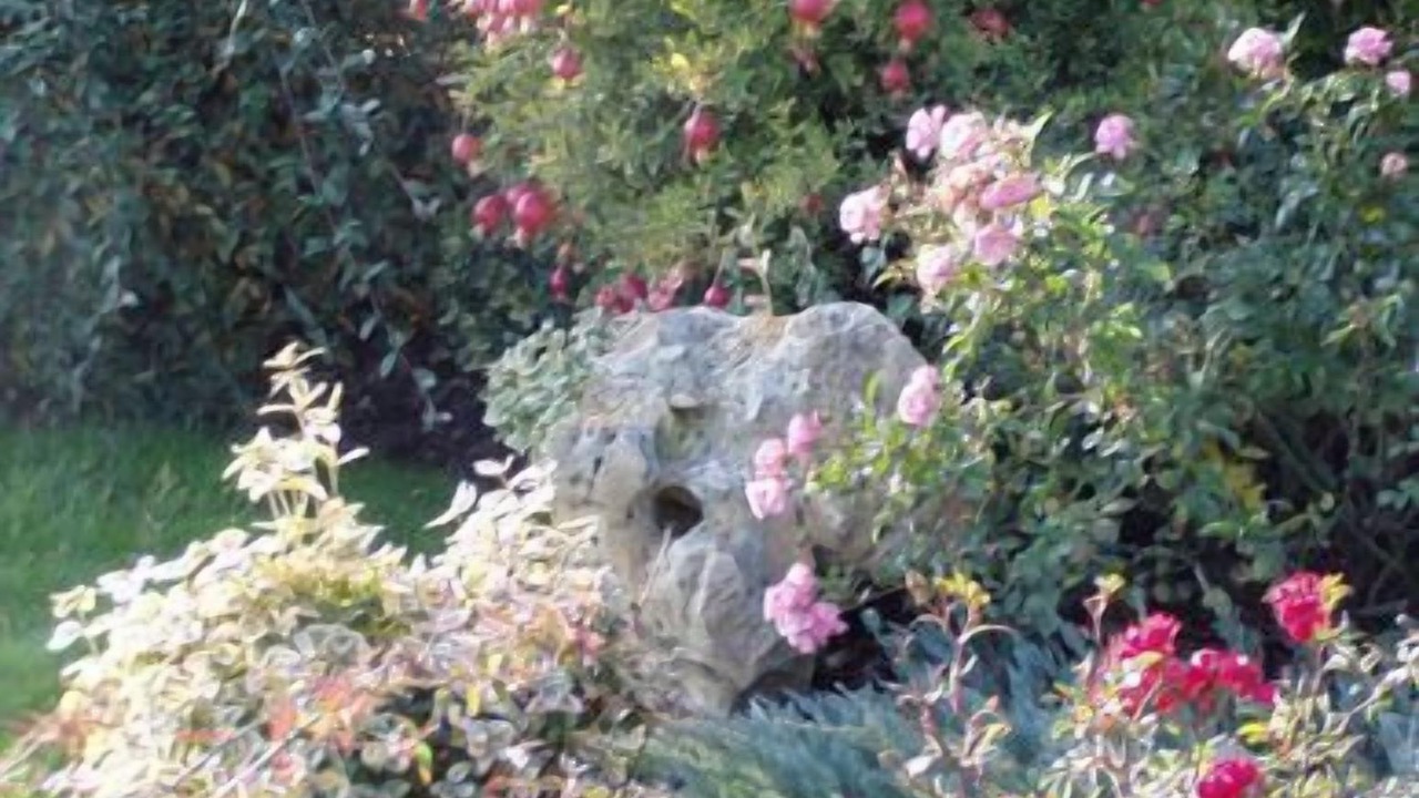 Photo of Outdoor in Castel Guelfo di Bologna