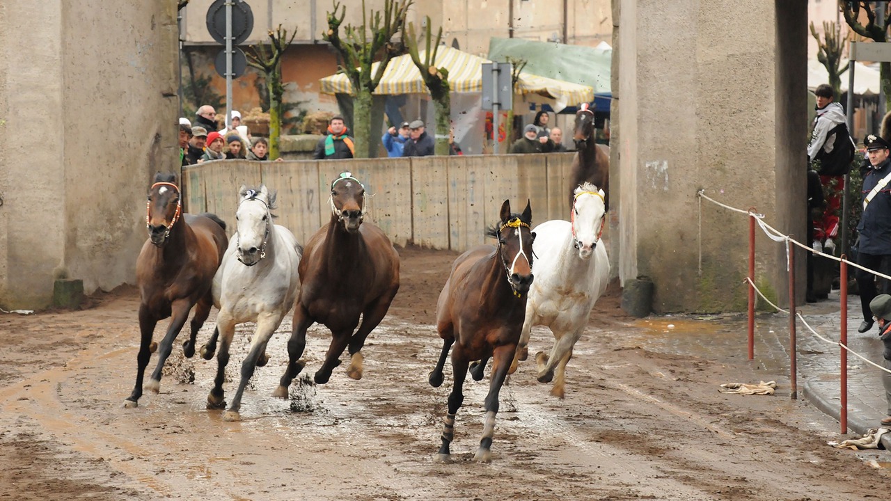 Photo of Others in Ronciglione