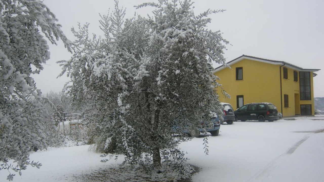 Photo of Outdoor in Orte