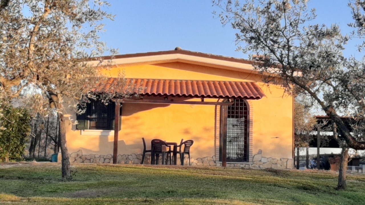 Photo of Others in Palombara Sabina