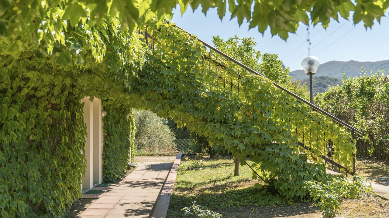 Photo of Outdoor in Portoferraio