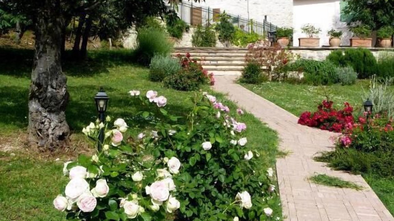 Photo of Outdoor in Bovara