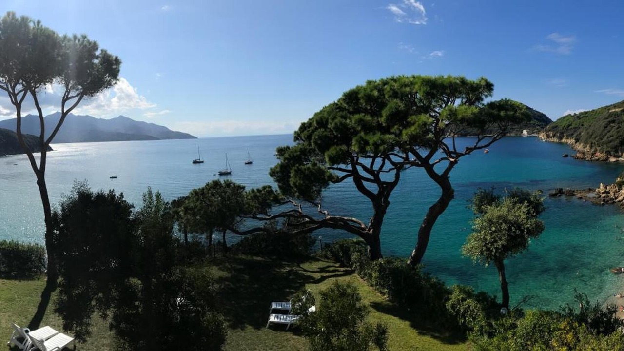 Photo of Others in Portoferraio