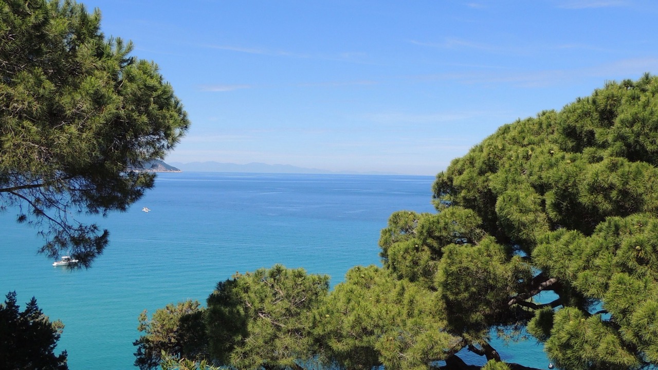 Photo of Others in Portoferraio