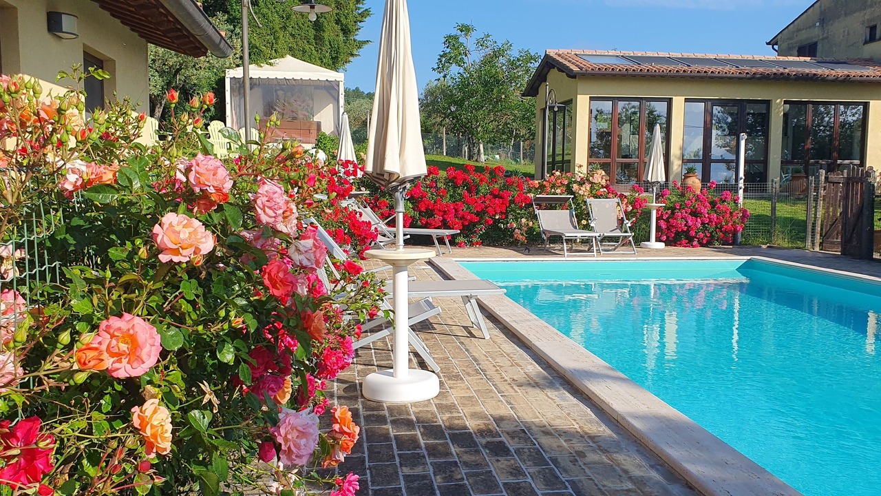 Photo of Outdoor in Cannara