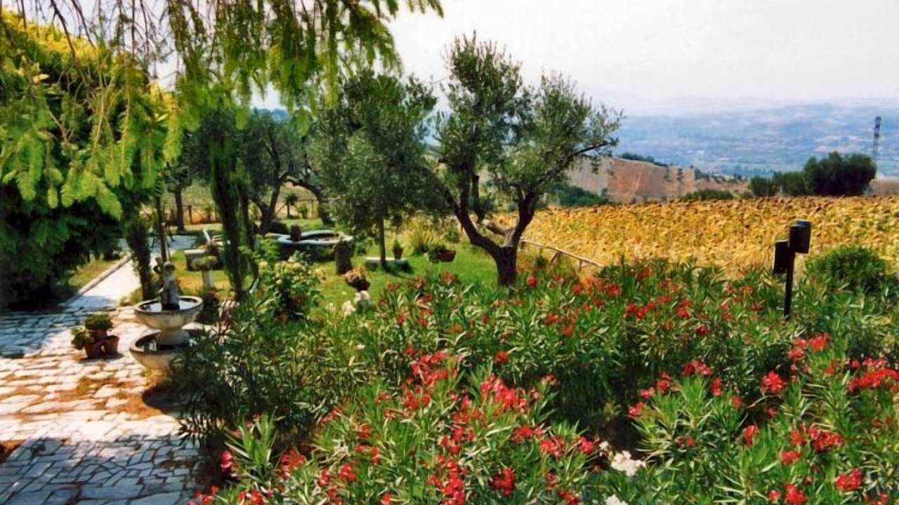 Photo of Outdoor in Controguerra
