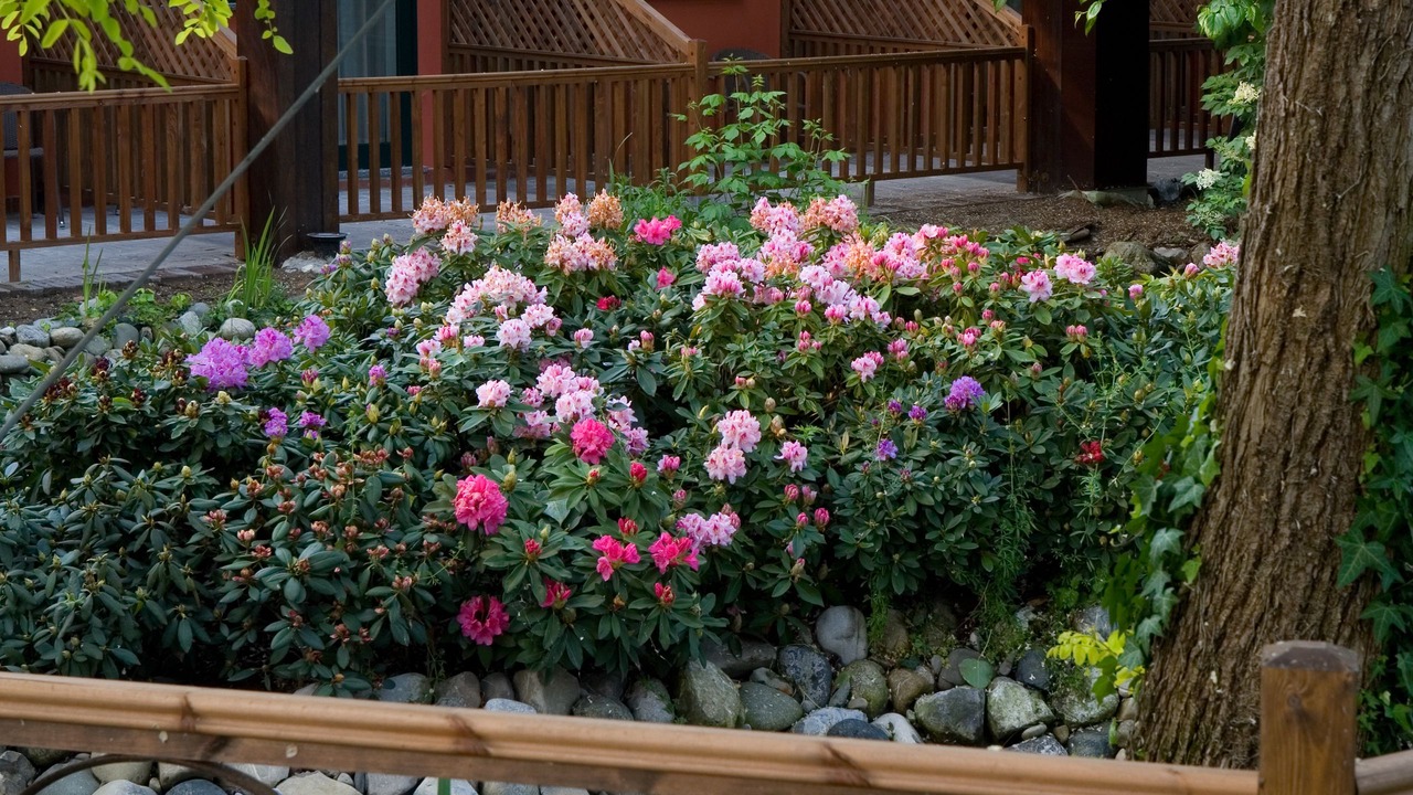 Photo of Outdoor in Pavia