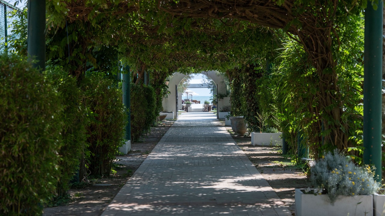 Photo of Outdoor in Milano Marittima