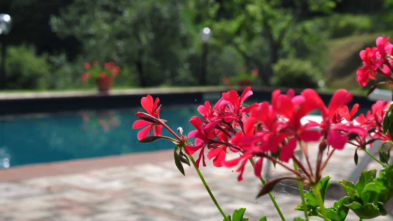 Photo of Outdoor in Bivio Lugnano