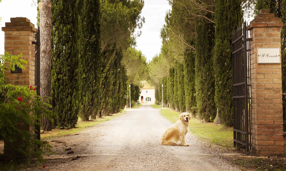 Photo of Outdoor in Pomarance