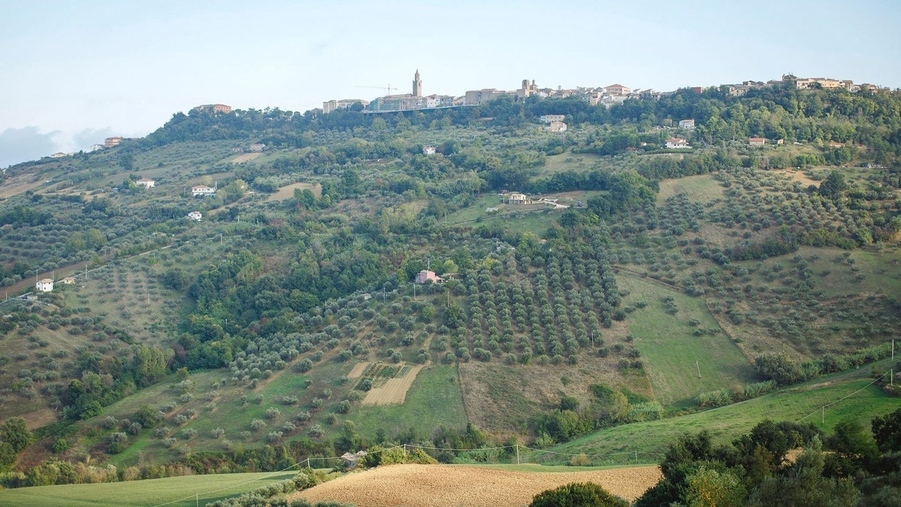 Photo of Outdoor in Citta Sant'Angelo