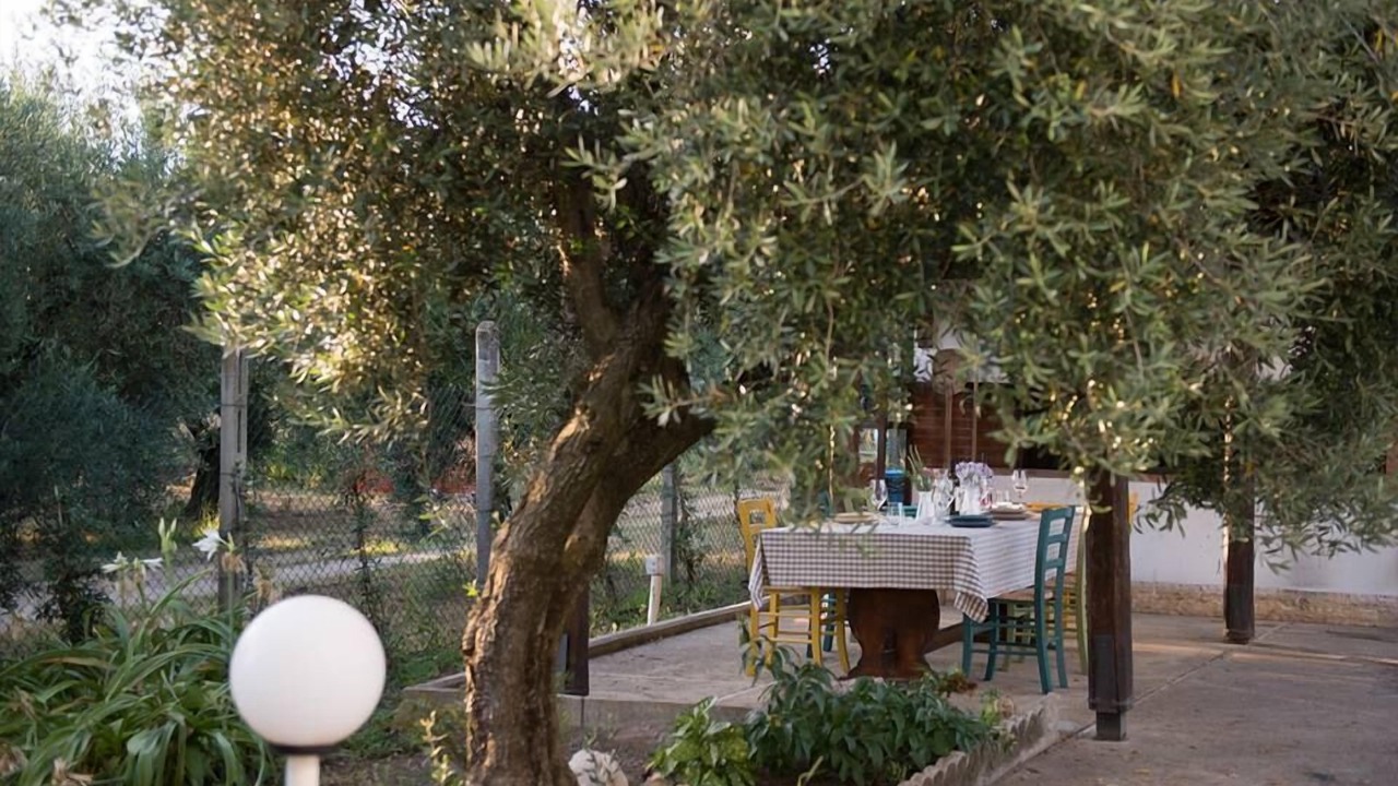 Photo of Outdoor in Giulianello
