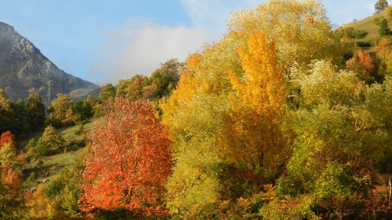 Photo of Outdoor in Force
